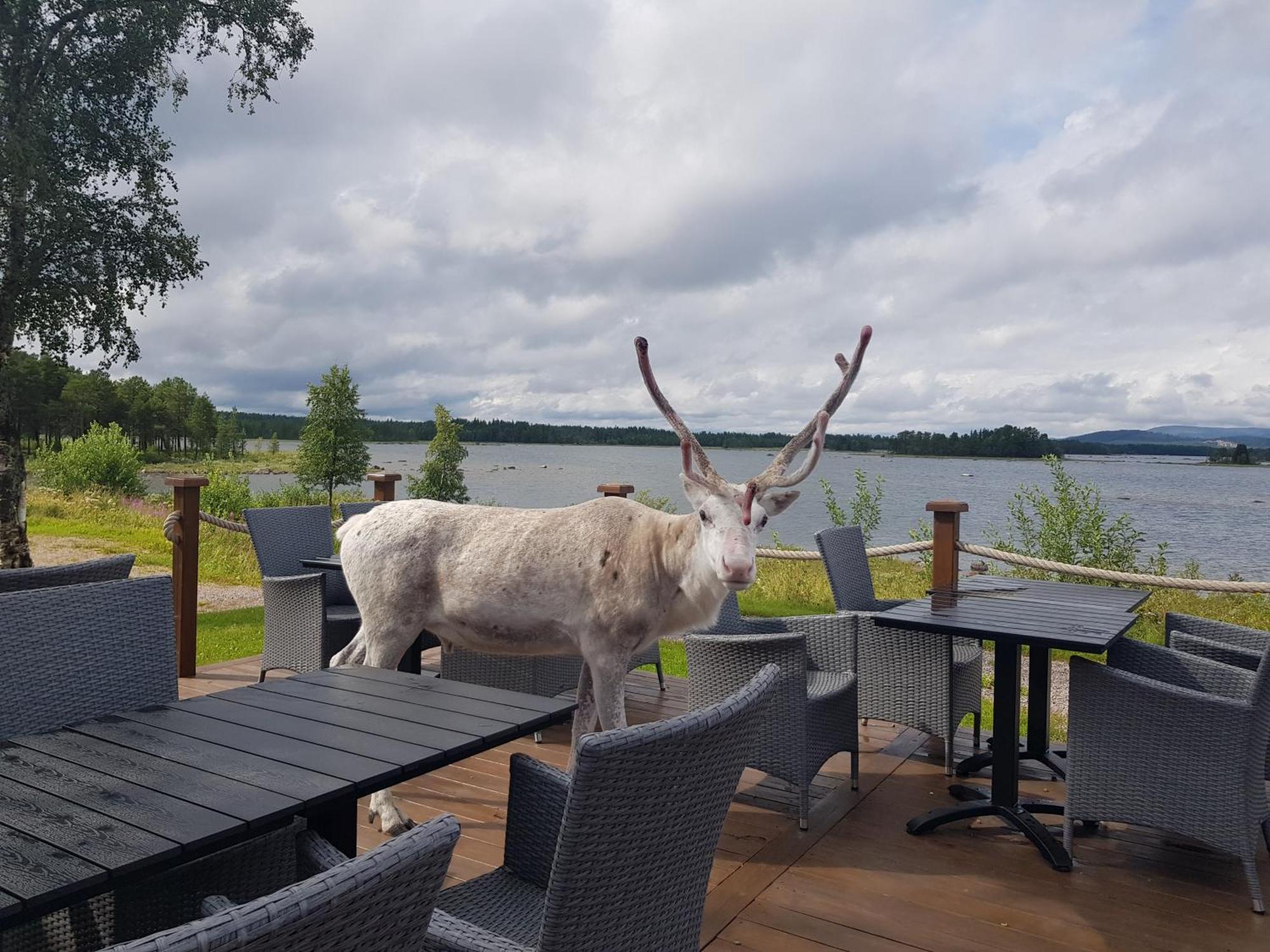 Kraja Arjeplog Exterior foto